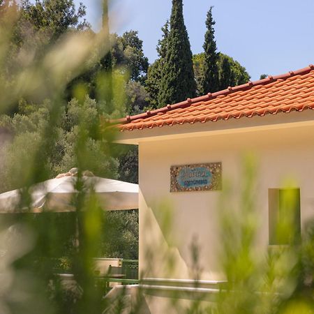 Marina Apartments Κοκκάρι Εξωτερικό φωτογραφία