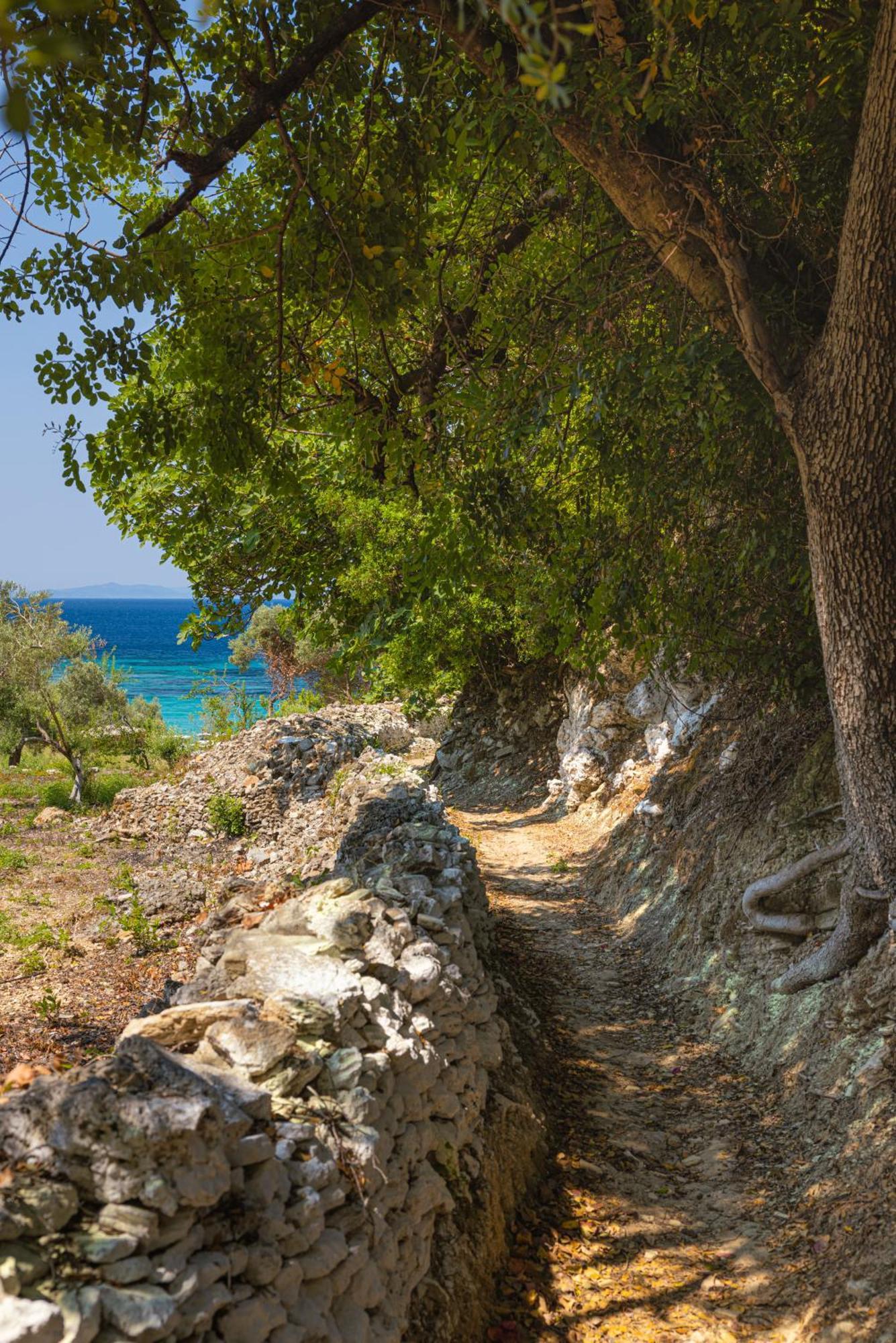 Marina Apartments Κοκκάρι Εξωτερικό φωτογραφία