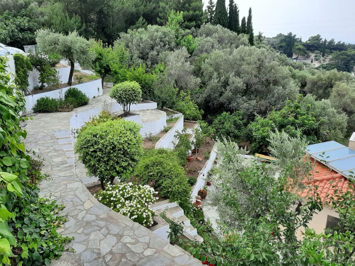 Marina Apartments Κοκκάρι Εξωτερικό φωτογραφία
